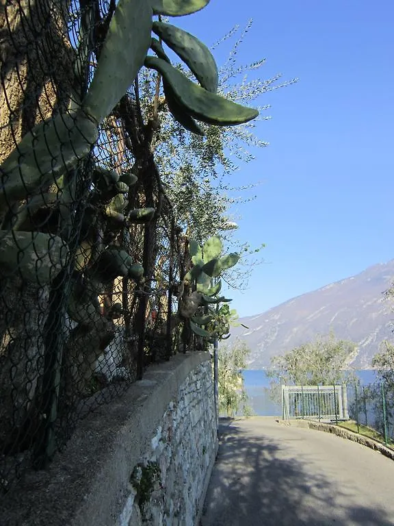 Albergo Villa Lori Limone sul Garda 0*,